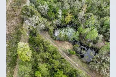 310 N Otter Creek Avenue, Bronson, FL 32621 - Photo 9