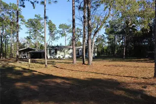 221 Magnolia Rd, Hawthorne, FL 32640 - Photo 5