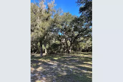 12003 SE 225th Drive, Hawthorne, FL 32640 - Photo 5