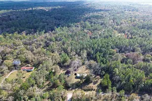 7629 NE 111th Pl, Gainesville, FL 32609 - Photo 35