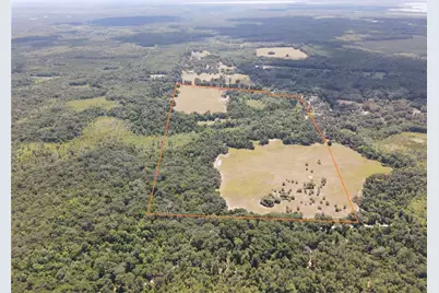 11810 SE County Road 234, Micanopy, FL 32667 - Photo 5