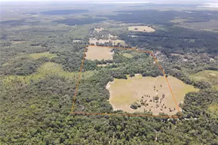 11810 SE County Road 234, Micanopy, FL 32667 - Photo 5