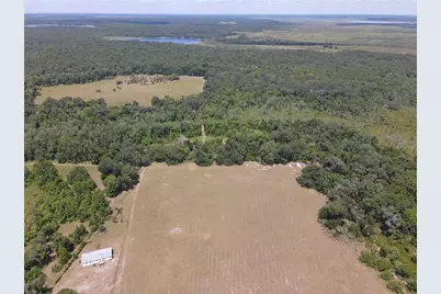 11810 SE County Road 234, Micanopy, FL 32667 - Photo 89