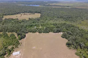 11810 SE County Road 234, Micanopy, FL 32667 - Photo 89