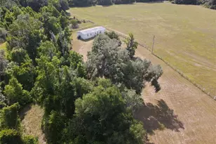 11810 SE County Road 234, Micanopy, FL 32667 - Photo 75