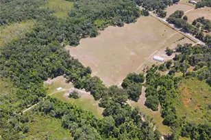 11810 SE County Road 234, Micanopy, FL 32667 - Photo 61