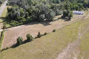 11810 SE County Road 234, Micanopy, FL 32667 - Photo 77