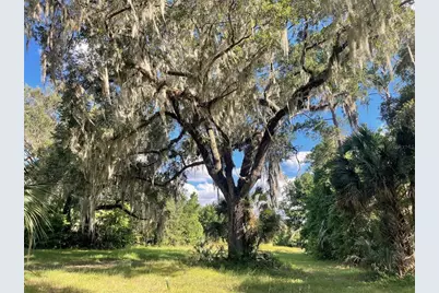 11810 SE County Road 234, Micanopy, FL 32667 - Photo 71