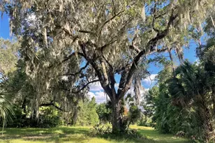 11810 SE County Road 234, Micanopy, FL 32667 - Photo 71