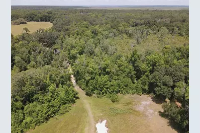 11810 SE County Road 234, Micanopy, FL 32667 - Photo 17