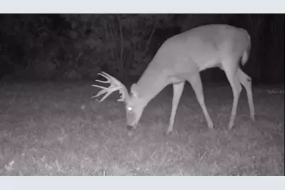 11810 SE County Road 234, Micanopy, FL 32667 - Photo 7