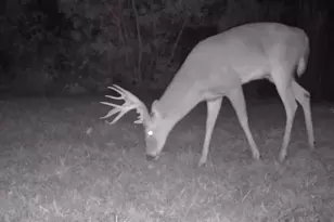 11810 SE County Road 234, Micanopy, FL 32667 - Photo 7