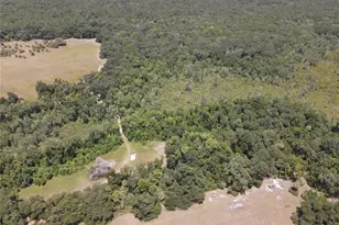 11810 SE County Road 234, Micanopy, FL 32667 - Photo 87