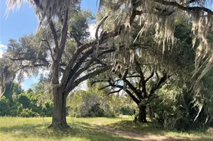 11810 SE County Road 234, Micanopy, FL 32667 - Photo 15