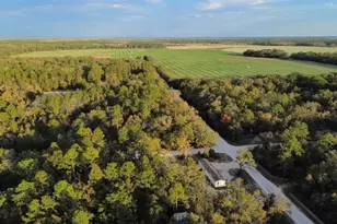 1400 NW 62nd Pl, Bell, FL 32619 - Photo 15