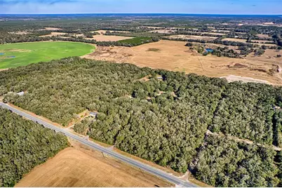 Us-129, Bell, FL 32619 - Photo 17