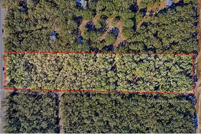 Us-129, Bell, FL 32619 - Photo 3