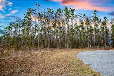 211th Court, Live Oak, FL 32060 - Photo 1