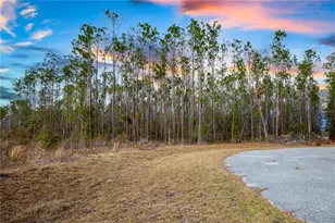 211th Ct, Live Oak, FL 32060 - Photo 1