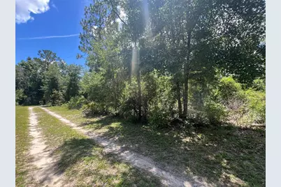 000 NE 822nd Street, Old Town, FL 32680 - Photo 3