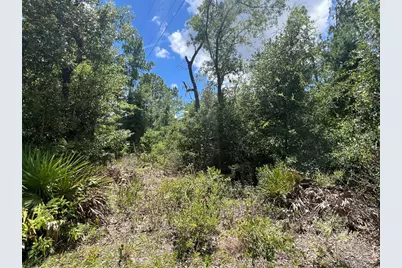000 NE 822nd Street, Old Town, FL 32680 - Photo 1