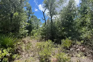 000 NE 822nd St, Old Town, FL 32680 - Photo 1