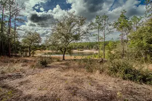 200 Hour Glass Cir, Hawthorne, FL 32640 - Photo 5