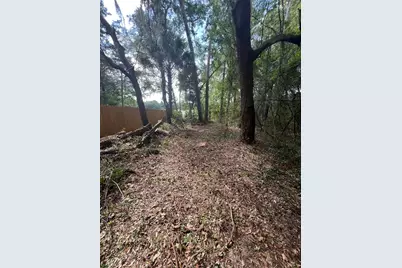 1963 State Road 20, Hawthorne, FL 32640 - Photo 5