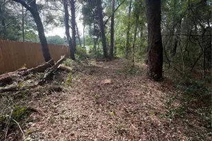 1963 State Road 20, Hawthorne, FL 32640 - Photo 5