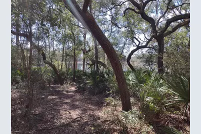 89 Tucker Lake Road, Melrose, FL 32666 - Photo 1