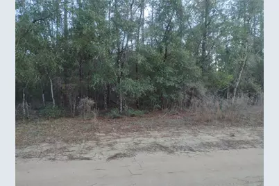 89 Tucker Lake Road, Melrose, FL 32666 - Photo 3