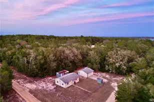 600 Wakulla St, Florahome, FL 32140 - Photo 47