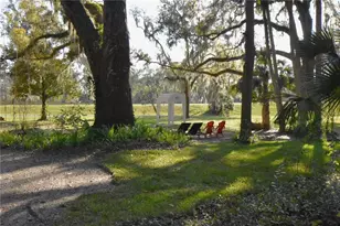 1302 SE Wacahoota Rd, Micanopy, FL 32667 - Photo 31