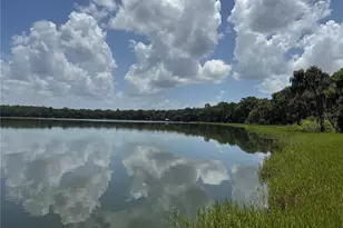 1302 SE Wacahoota Rd, Micanopy, FL 32667 - Photo 63