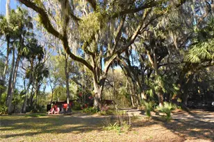 1302 SE Wacahoota Rd, Micanopy, FL 32667 - Photo 17