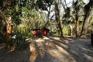 1302 SE Wacahoota Rd, Micanopy, FL 32667 - Photo 27