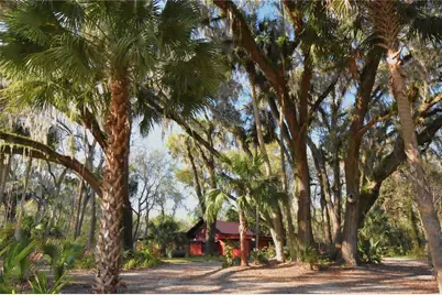 1302 SE Wacahoota Road, Micanopy, FL 32667 - Photo 1