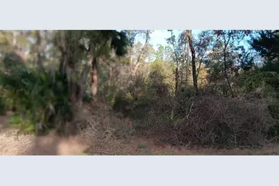 Lot 12 NW 70 Circle NW, Chiefland, FL 32626 - Photo 7