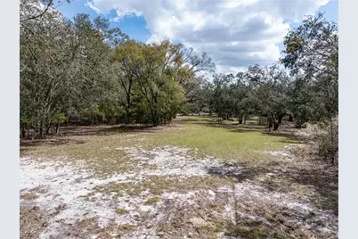 0 65th Place A, Branford, FL 32008 - Photo 59