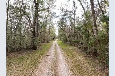 0 65th Place A, Branford, FL 32008 - Photo 15