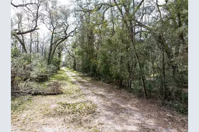 0 65th Place A, Branford, FL 32008 - Photo 13