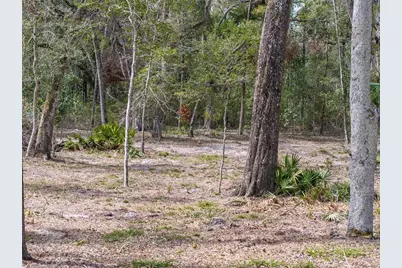 0 65th Place A, Branford, FL 32008 - Photo 67