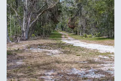 0 65th Place A, Branford, FL 32008 - Photo 69