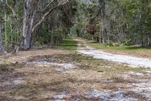 0 65th Pl A, Branford, FL 32008 - Photo 69