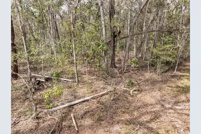 0 65th Place A, Branford, FL 32008 - Photo 65