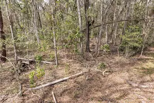 0 65th Pl A, Branford, FL 32008 - Photo 65