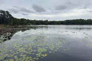 266 Ash St, Hawthorne, FL 32640 - Photo 3