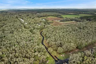 9250 Emily Dr, Fanning Springs, FL 32693 - Photo 49