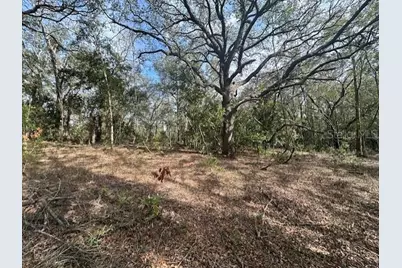 Nw County Road 236, Bell, FL 32619 - Photo 1