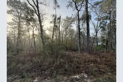 16009 SW 57th Terrace Road, Ocala, FL 34473 - Photo 3